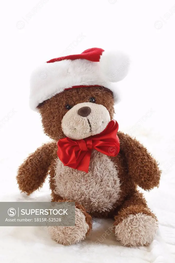 Teddy bear wearing christmas cap