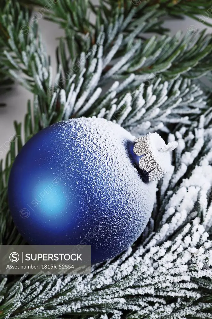 Christmas decoration, Blue christmas bauble on fir twig