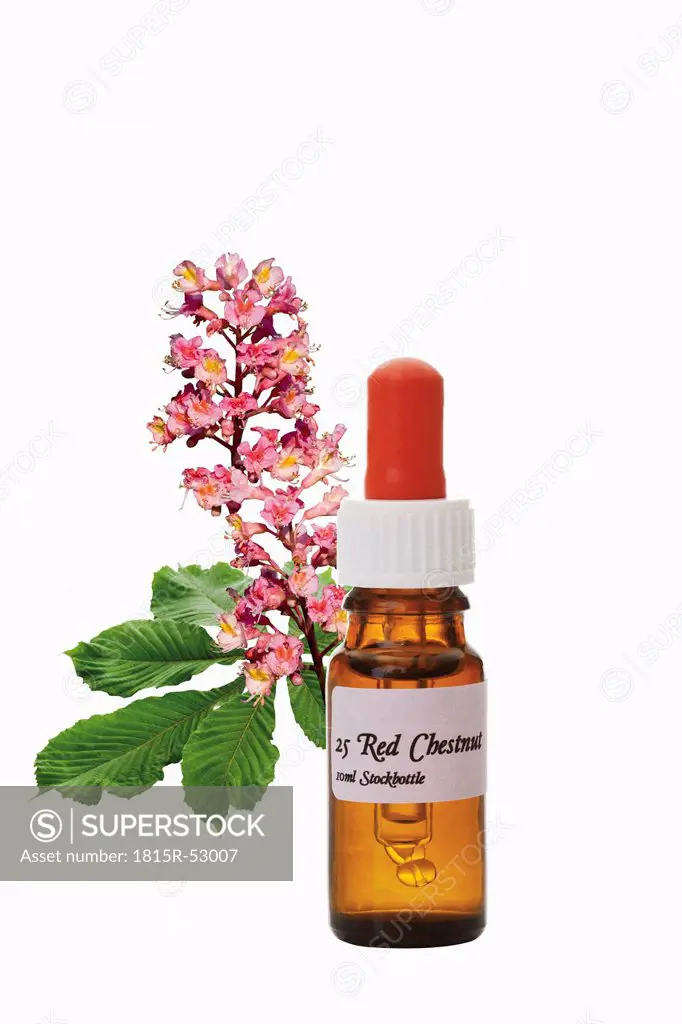 Bottle with Bach Flower Stock Remedy, Red Chestnut Aesculus carnea, close_up