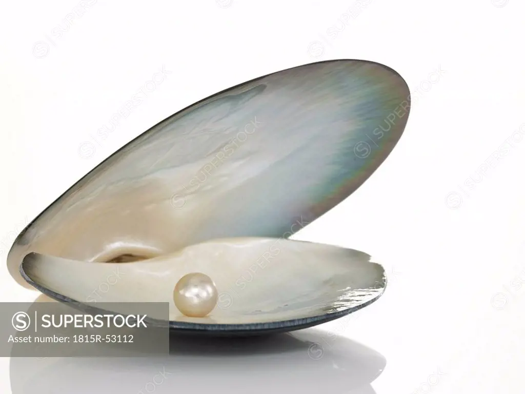 Shell with pearl inside