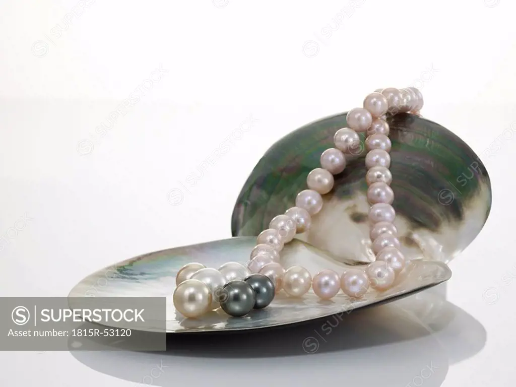 Pearl necklet and black pearl on shell
