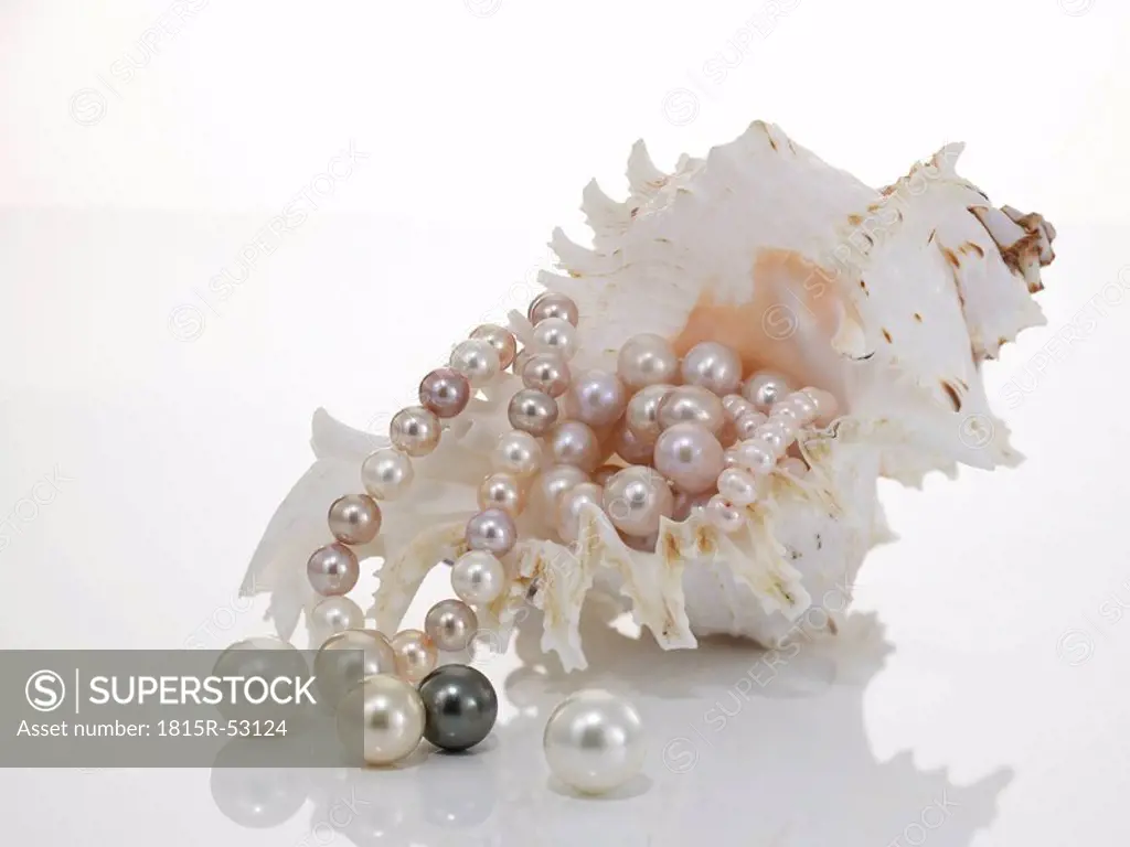 Pearl necklet and pearls with nautilus