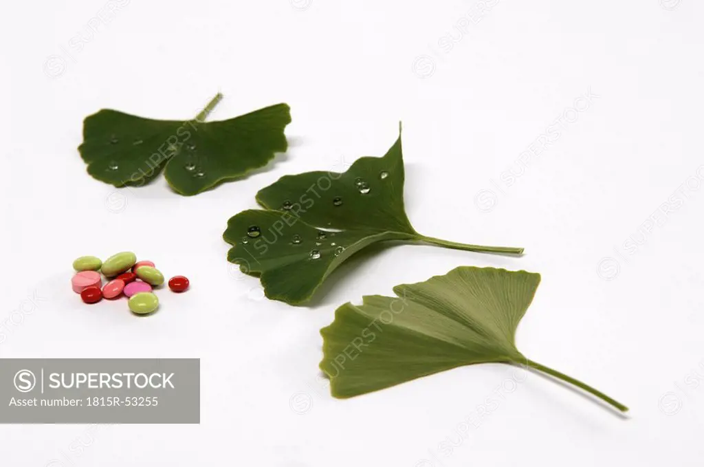 Gingko, Medicinal plant and pills, close up