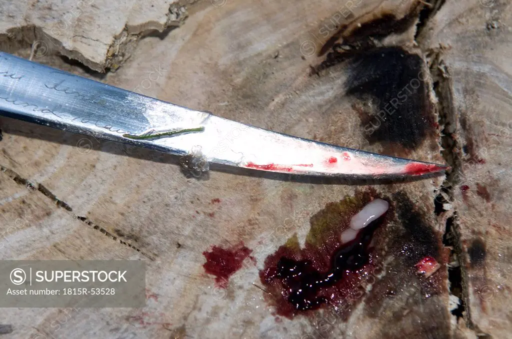 Bloody knife, elevated view