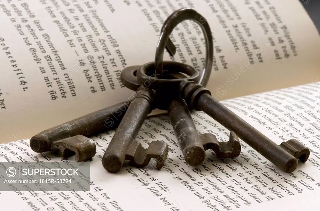 Keys on keyring lying on open book