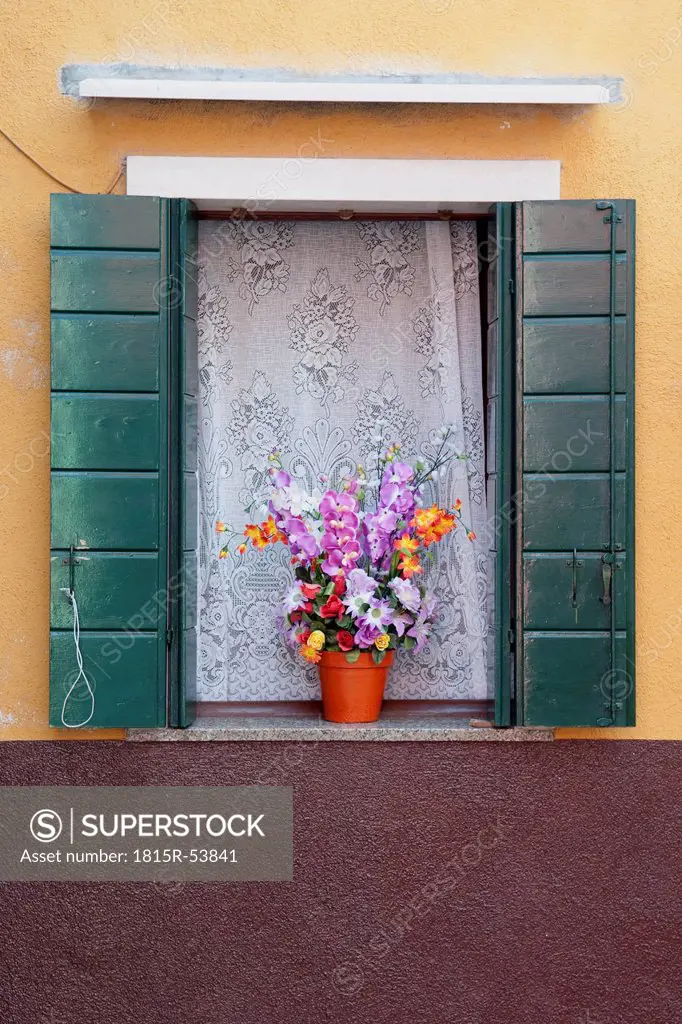 Italy, Venice, Bunch of flowers in flower pot