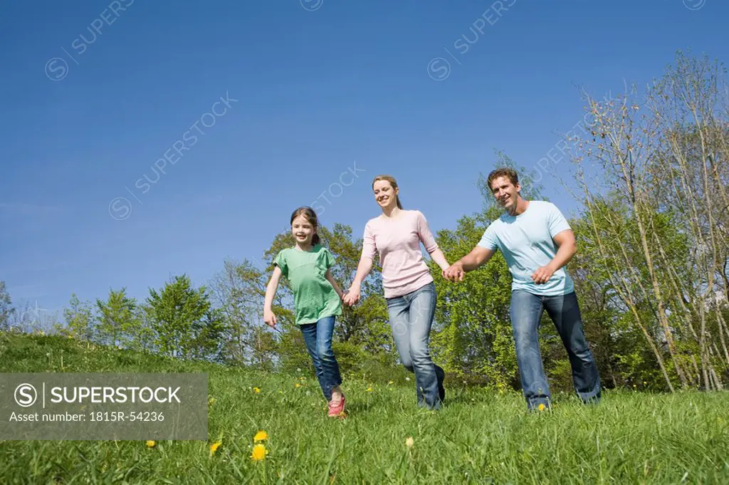 Germany, Bavaria, Munich, Family walking in meadow