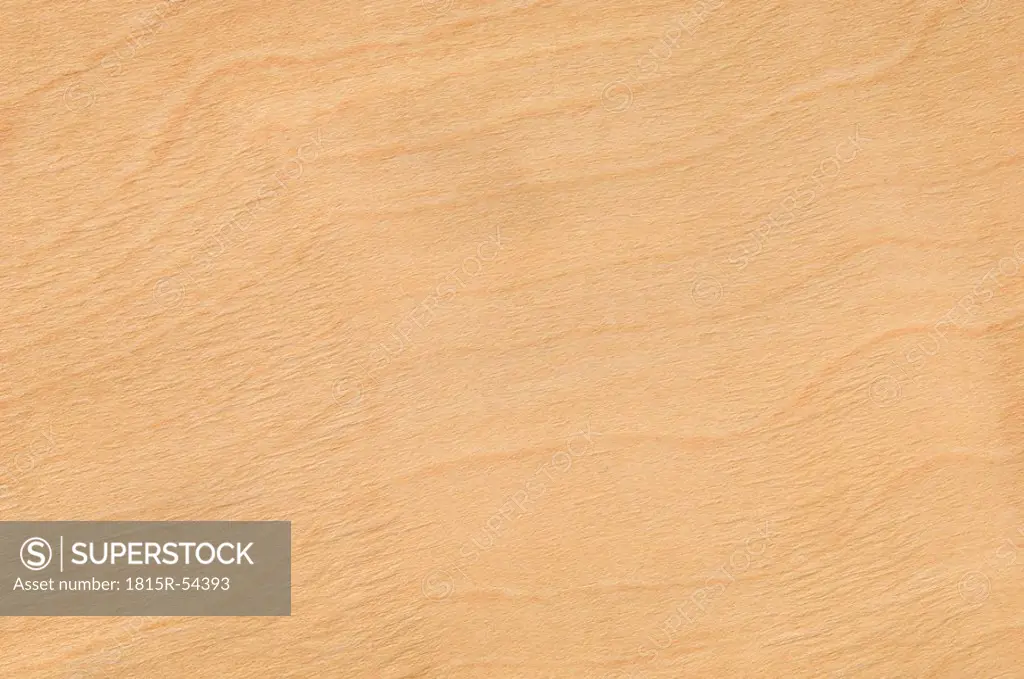 Wood surface, Maple Wood Aceraceae full frame