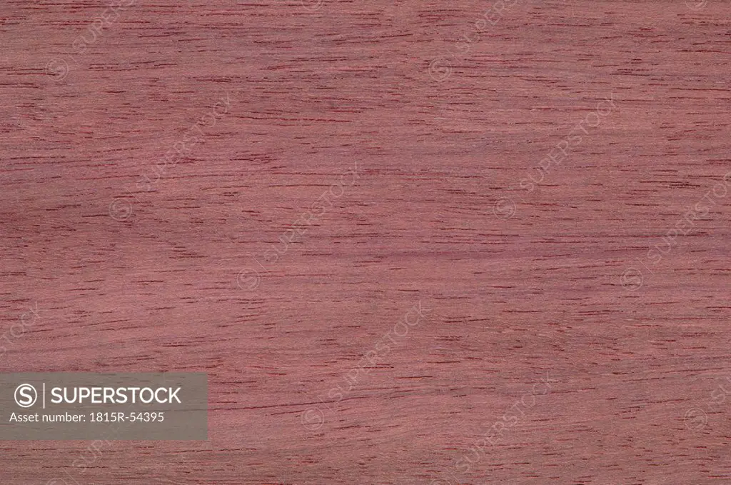 Wood surface, Purpleheart Peltogyne venosa, Leguminosae Caesalpinioi full frame