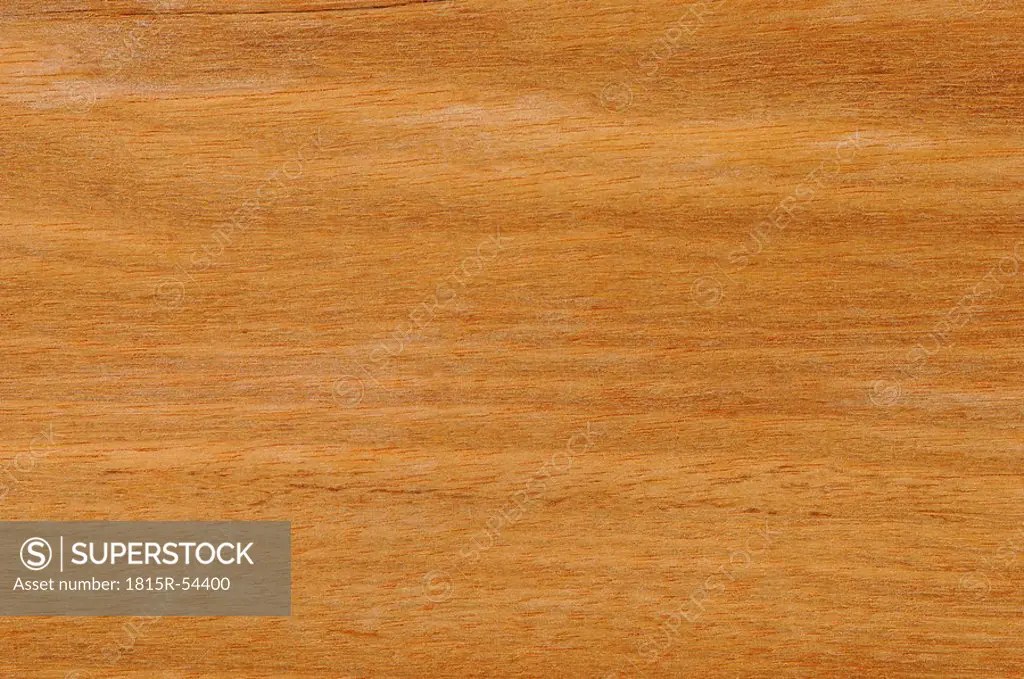 Wood surface, Arariba Wood Leguminosae Papilonatae full frame