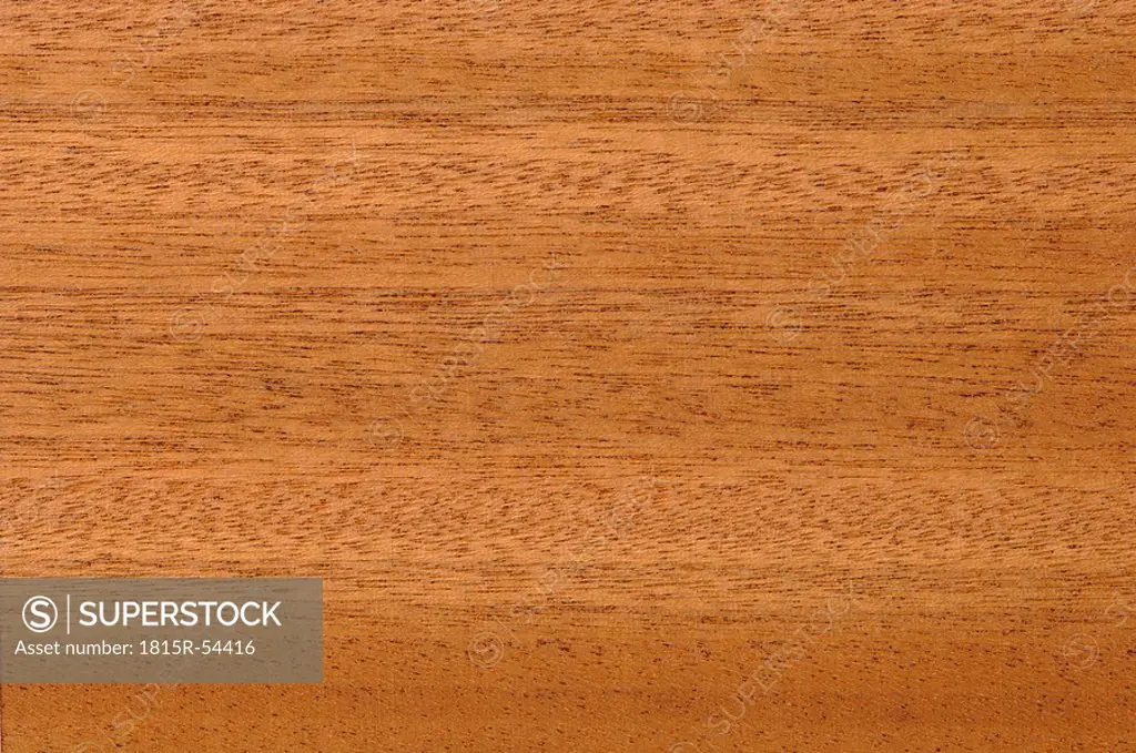 Wood surface, African Walnut Lovoa trichilioides full frame