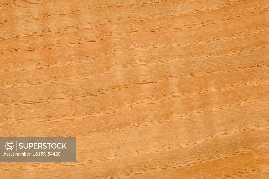 Wood surface, Sweet Chestnut Wood Castanea saliva full frame