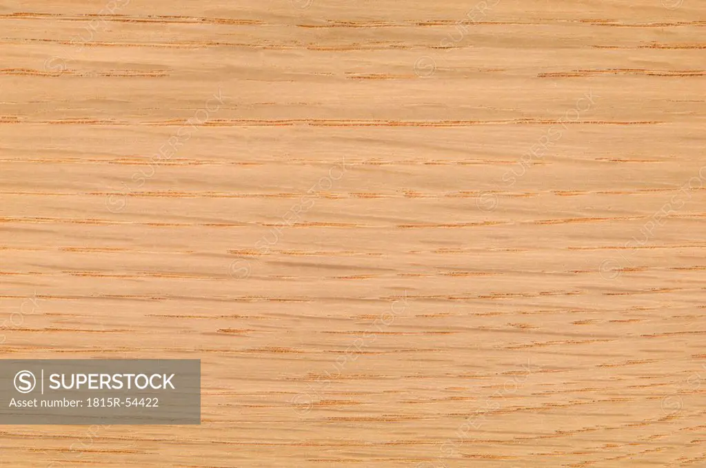 Wood surface, Oak Wood Quercus robur full frame