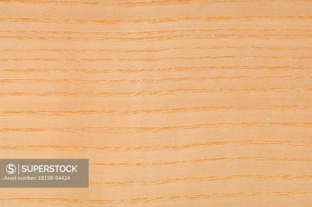 Wood surface, Ash Wood Fraxinus excelsior full frame