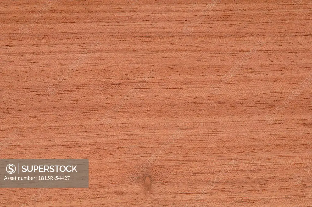 Wood surface, Etimoe Wood Capoifera salikounda, full frame