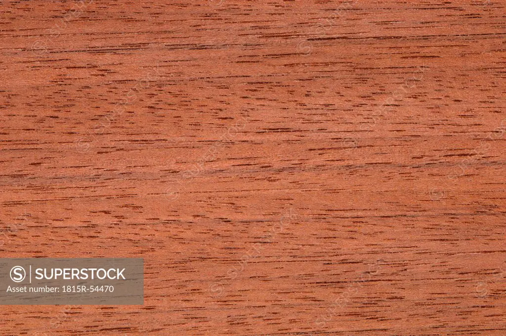 Wood surface, Peruvian walnut Juglans columbiensis full frame
