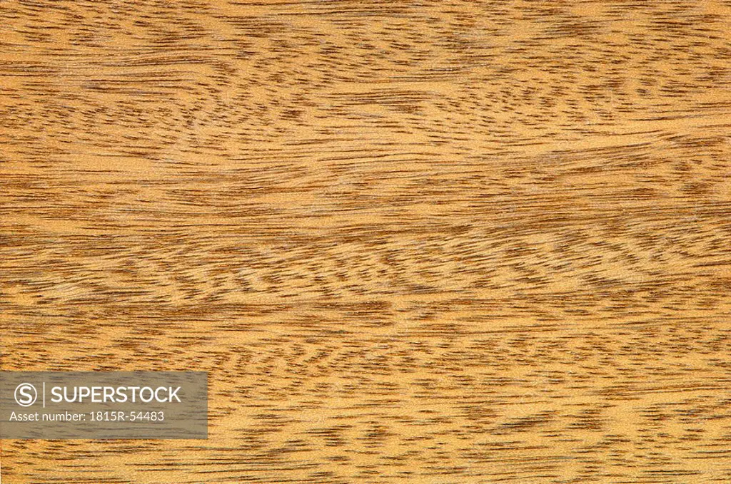 Wood surface, Lampati wood Duabanga sonneratioides full frame
