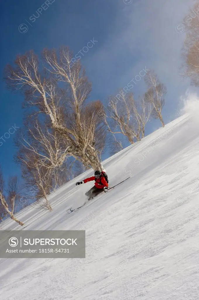 India, Kashmir, Gulmarg, Man skiing downhill
