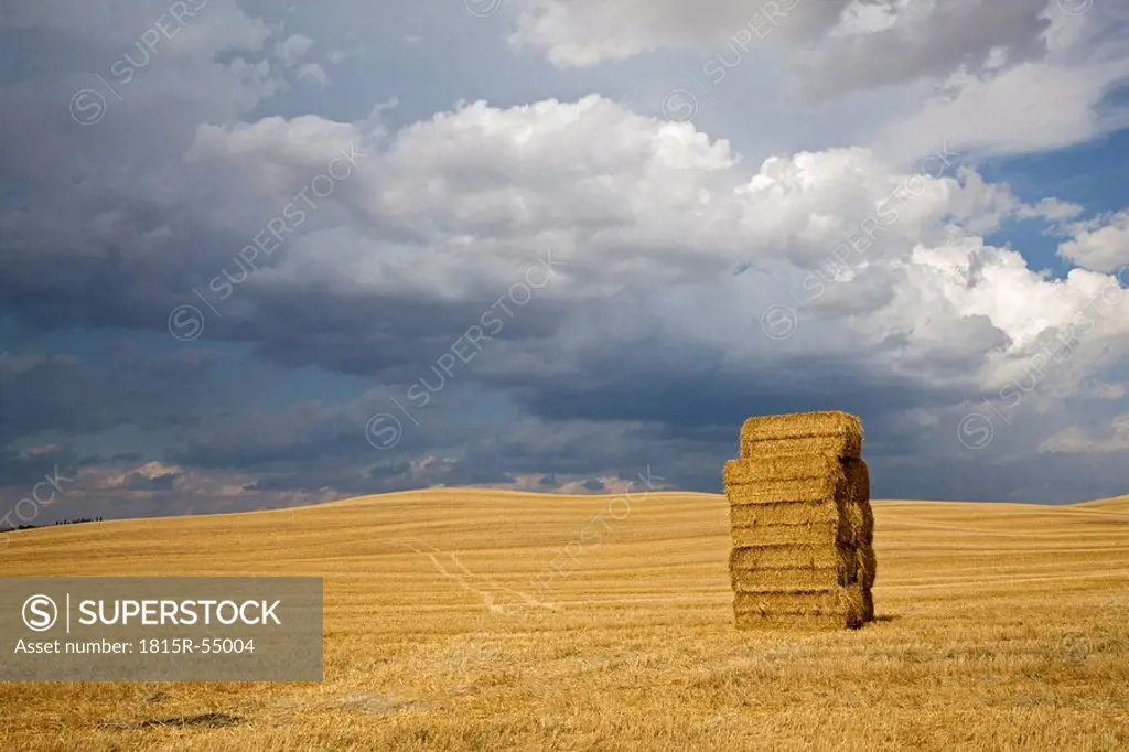 Italy, Tuscany, Stacked bales of straw on corn field
