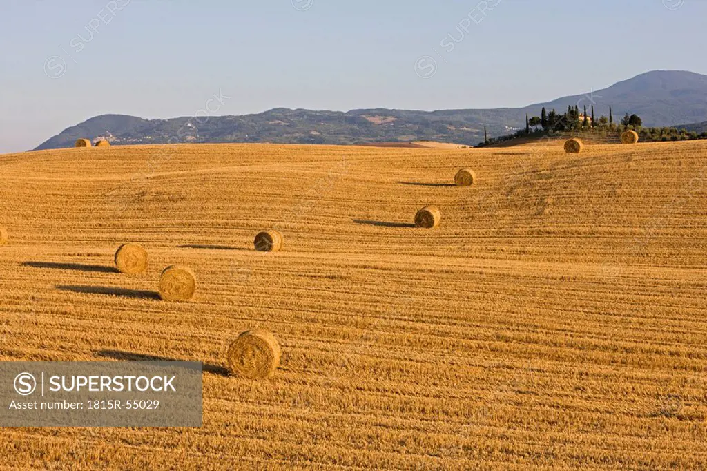 Italy, Tuscany, Bales of straw on corn field, Farmstead in background