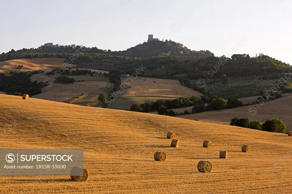 Italy, Tuscany, Val d´Orcia, harvested corn fields