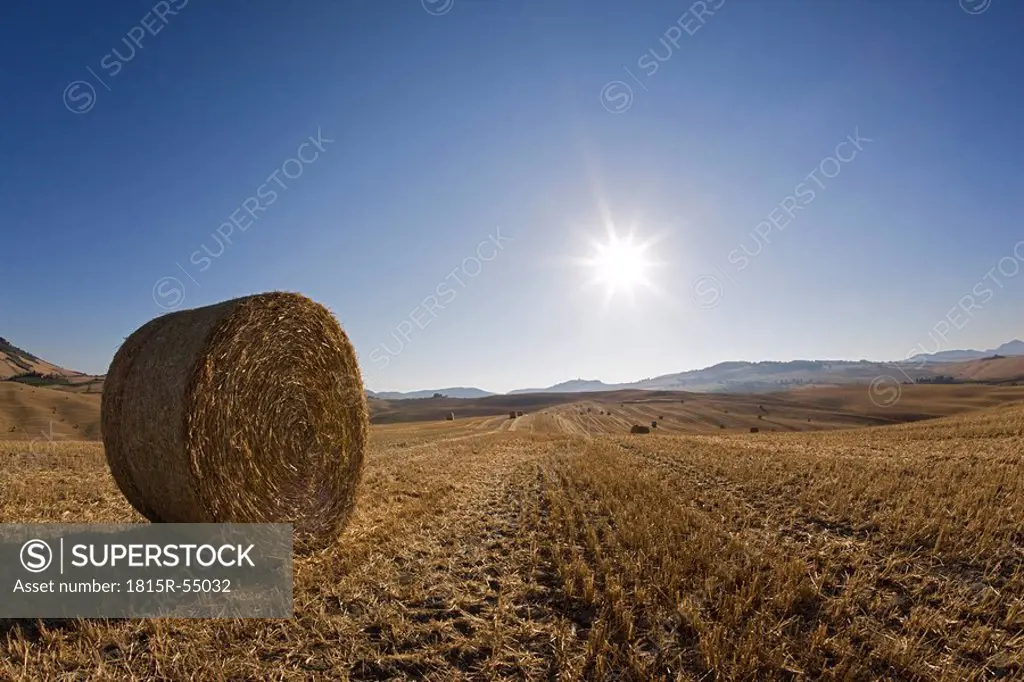 Italy, Tuscany, Bale of straw on harvested fields