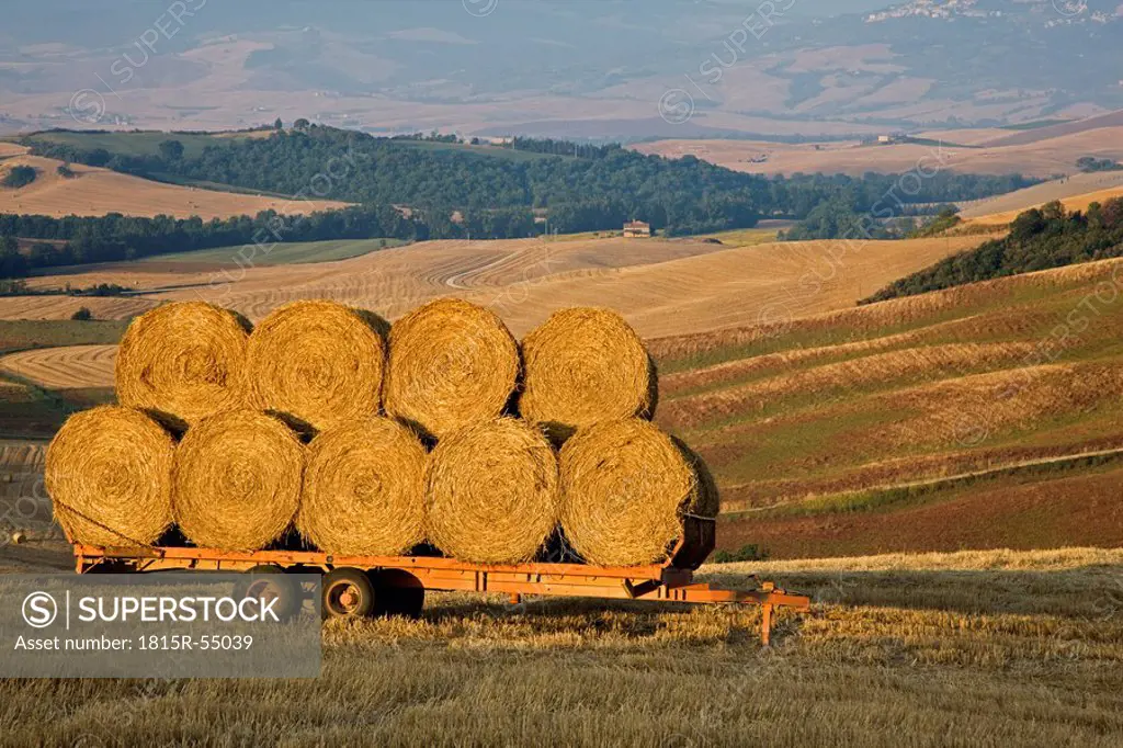 Italy, Tuscany, Bales of straw on trailer