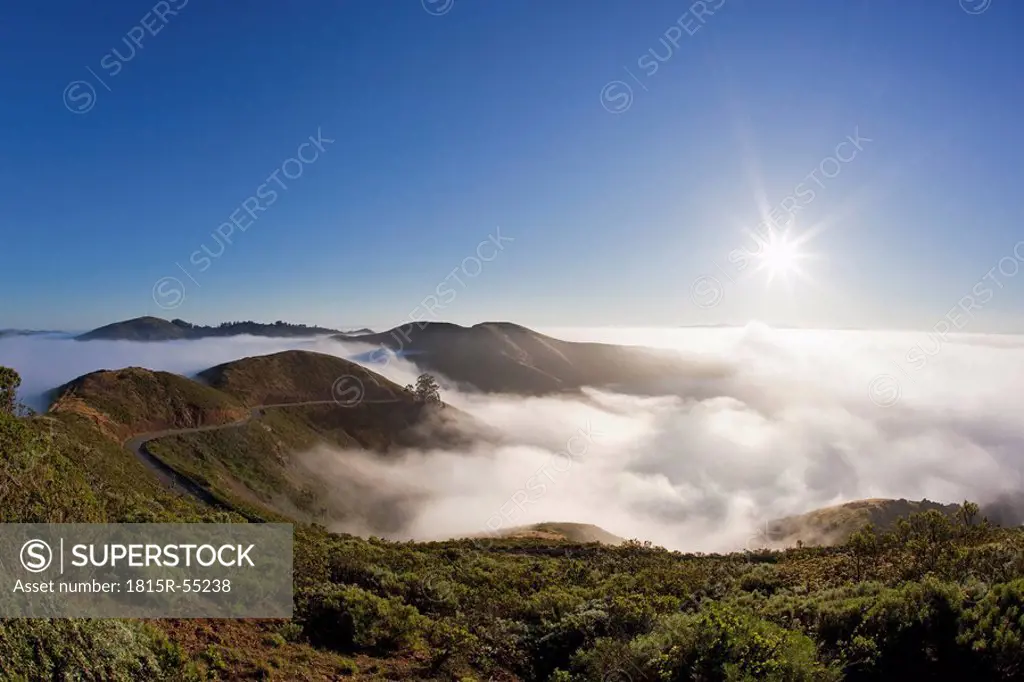 USA, California, Landscape covered in fog