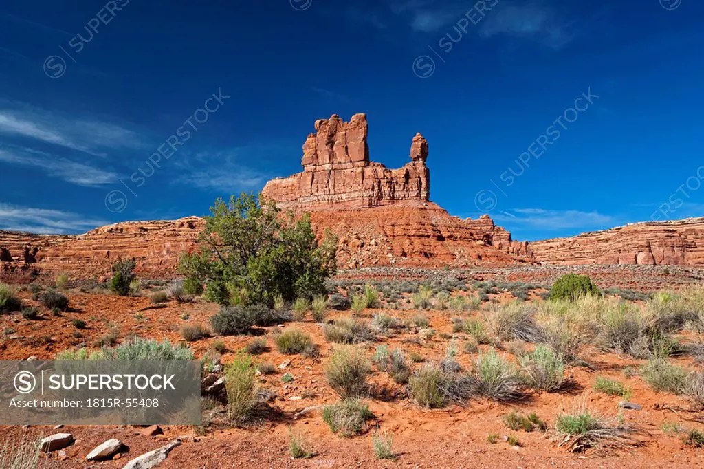 USA, Utah, Valley of the Gods, desert scenery