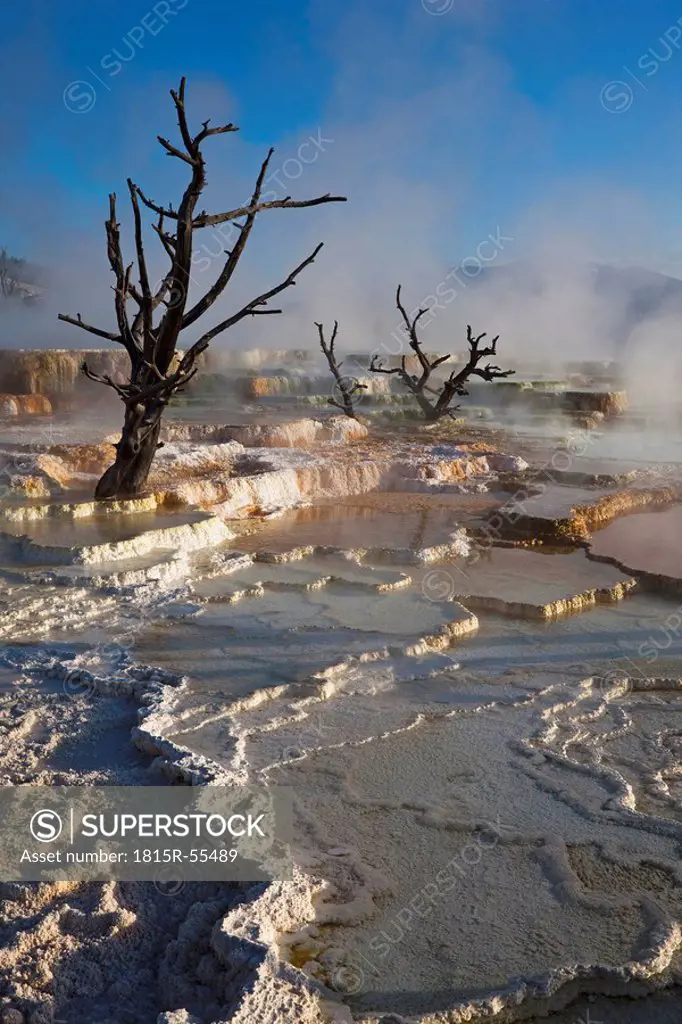 USA, Wyoming, Yellowstone National Park, Mammoth Hot Springs Terrace