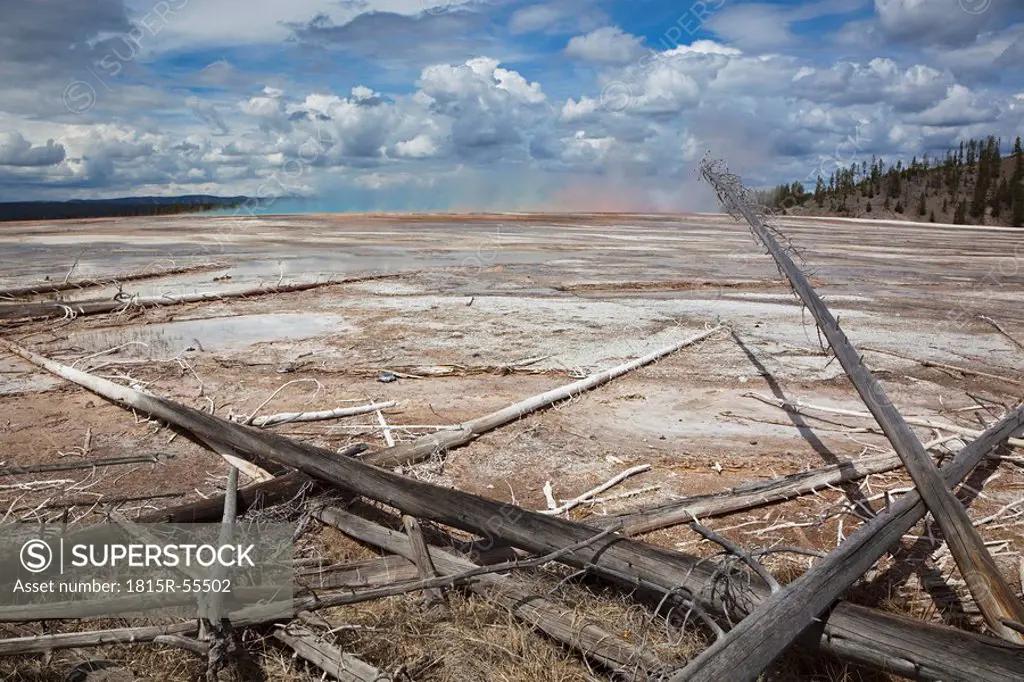 USA, Wyoming, Yellowstone National Park, Grand Prismatic Spring with dead trees