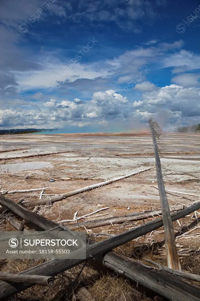 USA, Wyoming, Yellowstone National Park, Grand Prismatic Spring with fallen trees
