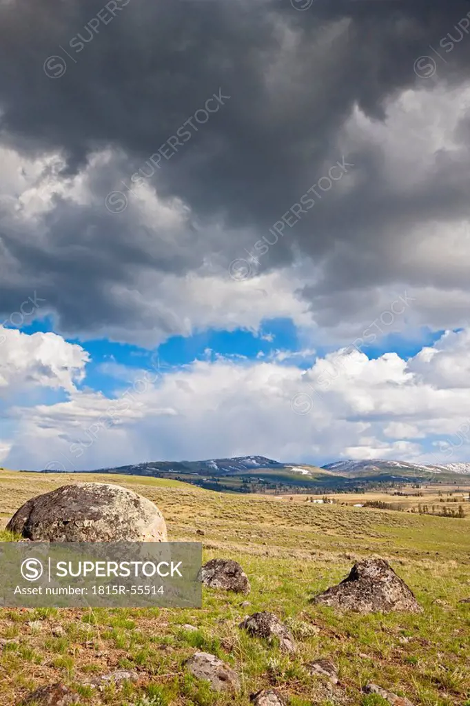 USA, Yellowstone Park, Lamar Valley