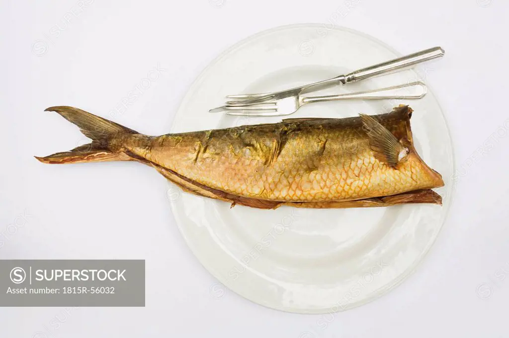 Smoked Salmon Arripis trutta on plate, elevated view