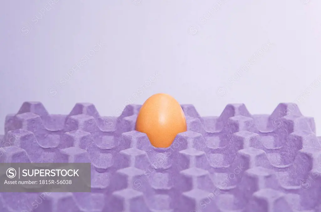 Egg in tray, close_up