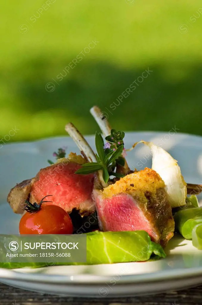 Saddle of venison with salad and tomato on plate, close_up