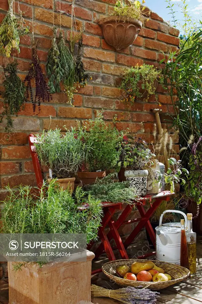 Austria, Salzburger Land, Dried herbs on brick wall, close up
