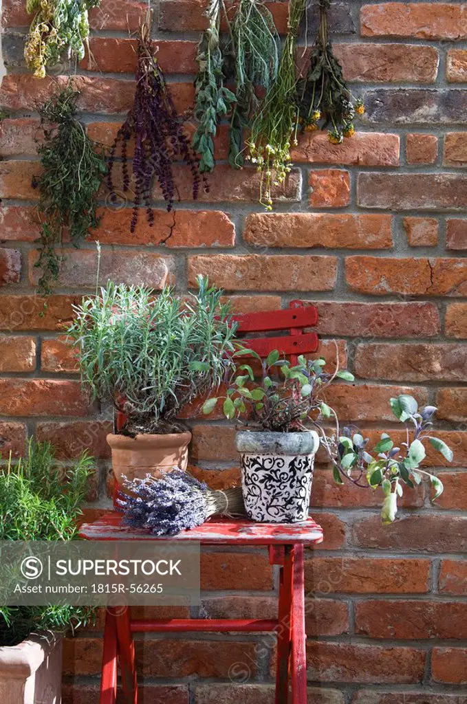Austria, Salzburger Land, Dried herbs on brick wall, close up