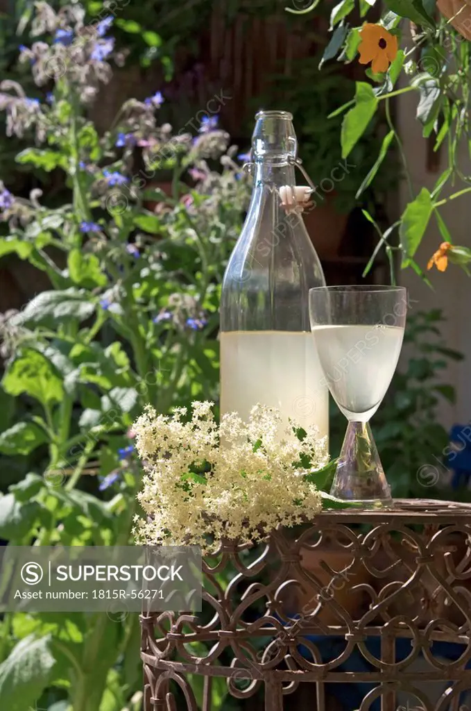Austria, Salzburger Land, Elderflower, Sambucus nigra, Blossoms, bottle and glass