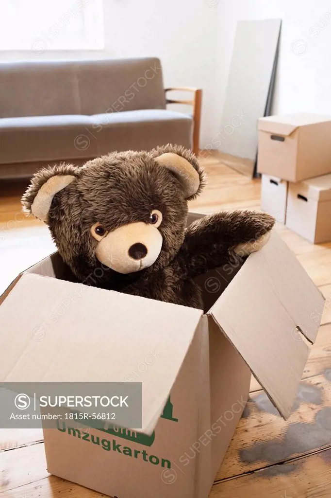 Teddy in a cardboard box