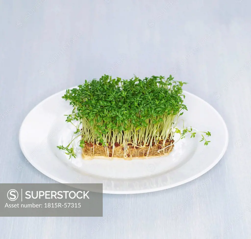 Cress sprouts on plate