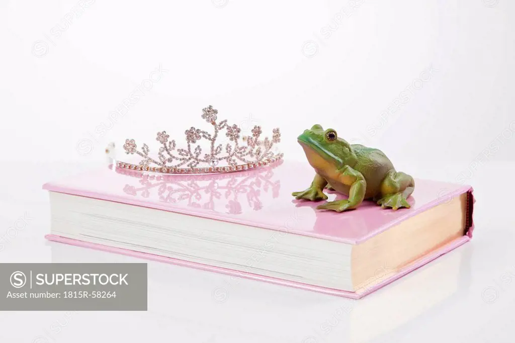 Frog figurine and crown on book