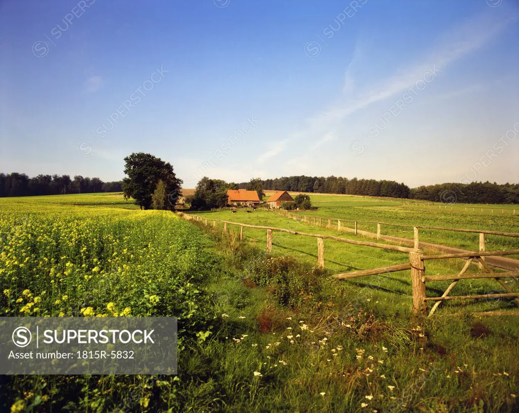 Germany, Lower Saxony, Melle, Landscape