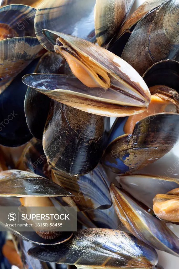 Blue mussels, full frame, close_up