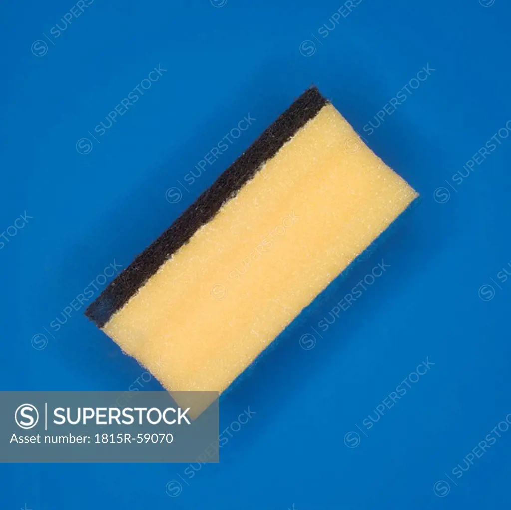 Sponge, elevated view