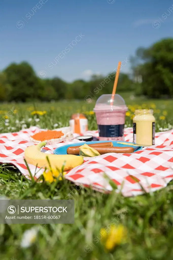 Picnic on meadow