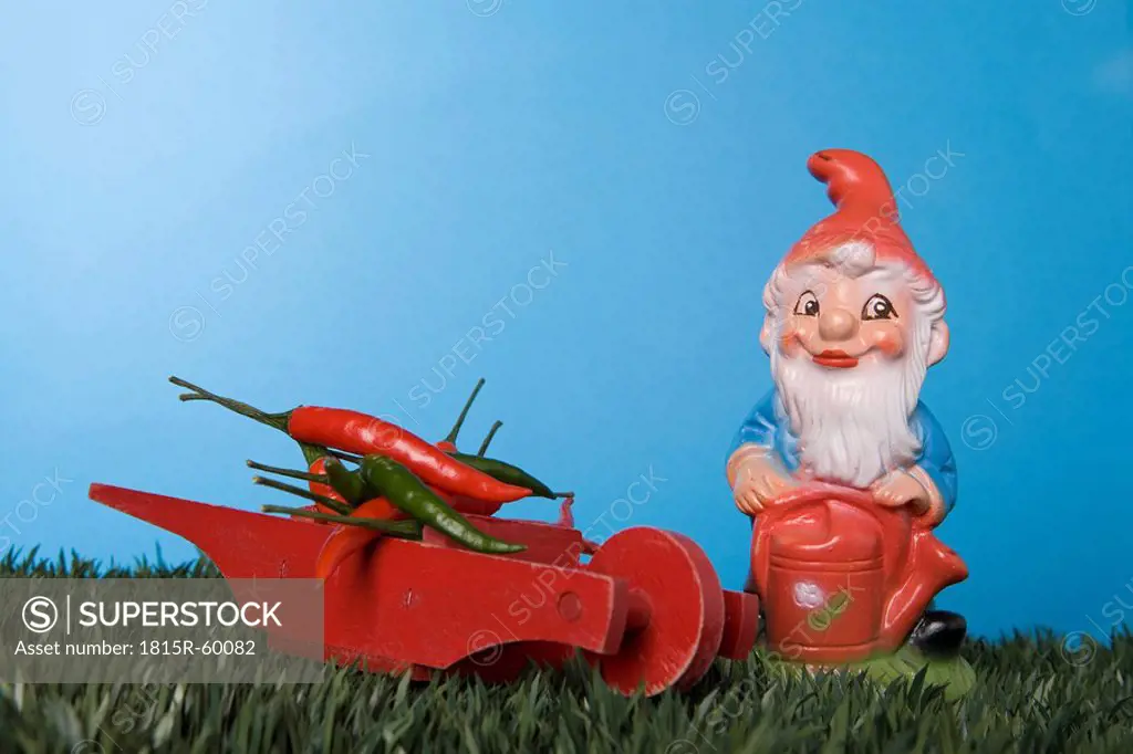 Garden gnome, Chili peppers placed on hand barrow
