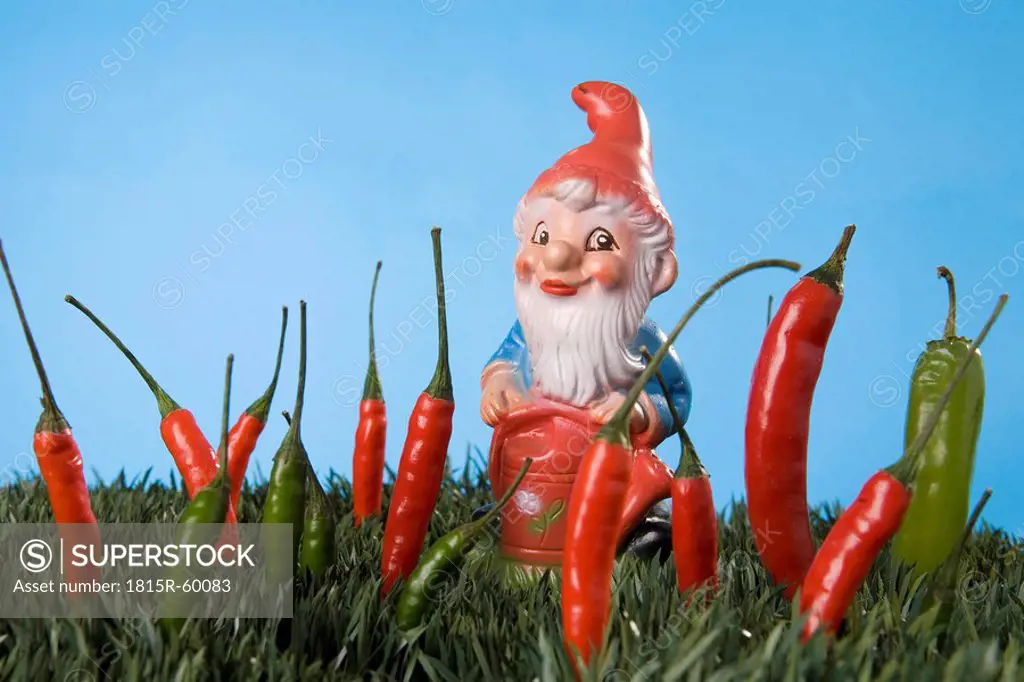 Garden gnome, Chili peppers on lawn