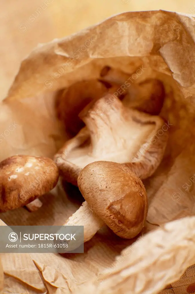 Raw shitake mushrooms in paper bag, close_up