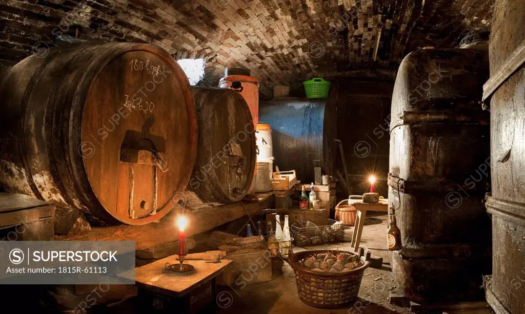 Germany, Baden_W¸rttemberg, berlingen, Hˆllwangen, Old wine cellar